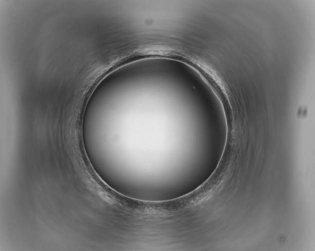 X0000091950529200709061242