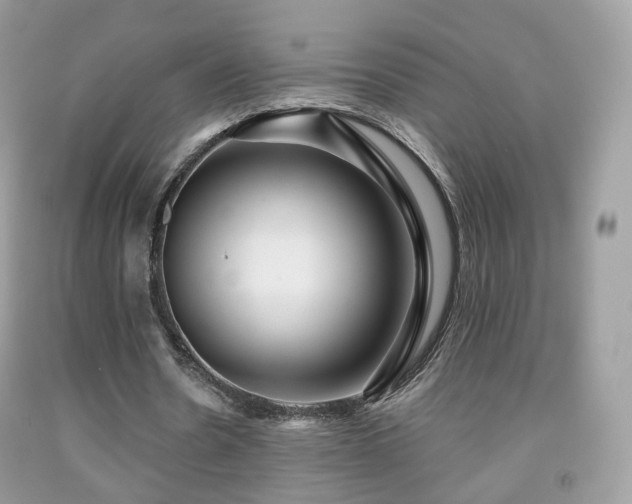 X0000091950530200709061242