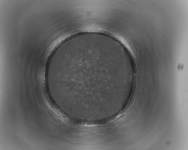 X0000091950531200709061242