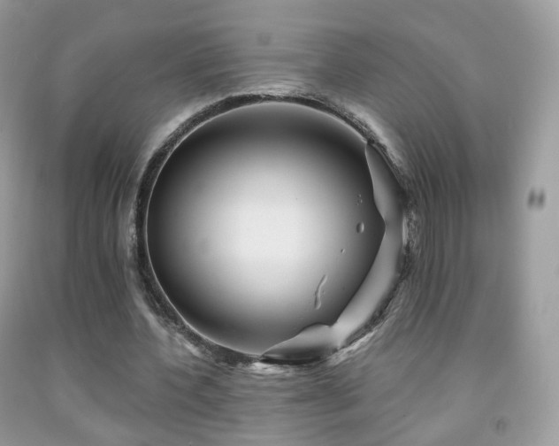 X0000091950532200709061242