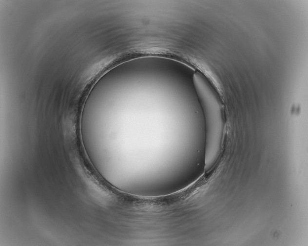 X0000091950533200709061242