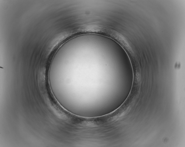 X0000091950534200709061242