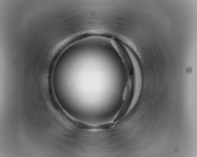 X0000091950535200709061242