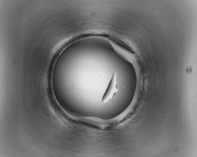 X0000091950536200709061242