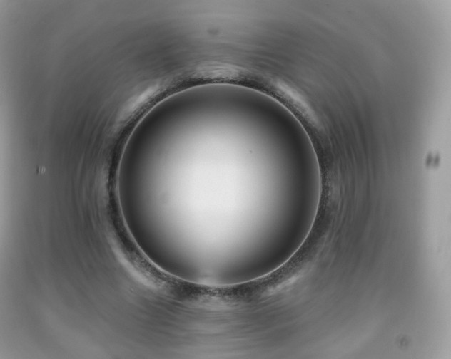 X0000091950538200709061242