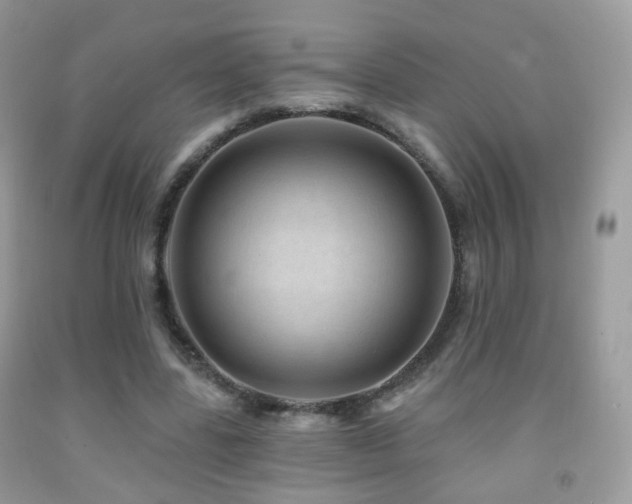 X0000091950539200709061242