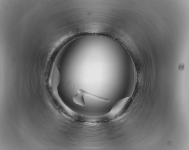 X0000091950540200709061242