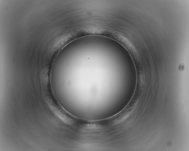 X0000091950541200709061242