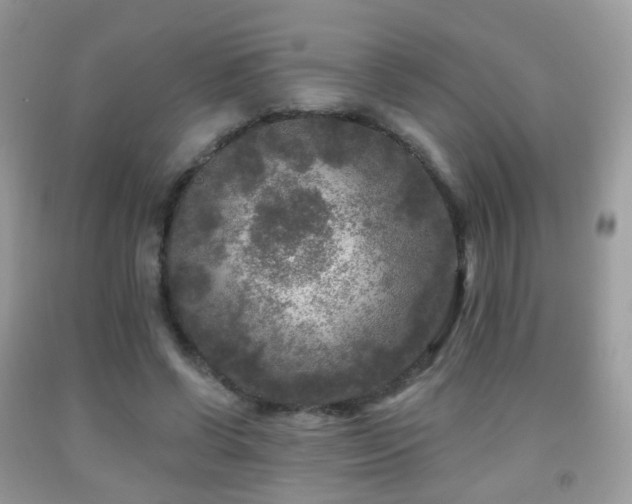 X0000091950542200709061242
