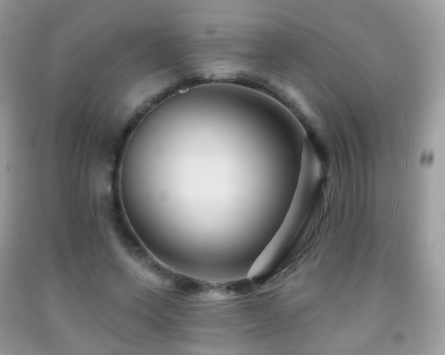 X0000091950543200709061242