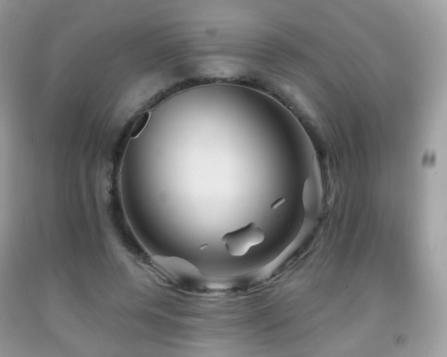 X0000091950544200709061242