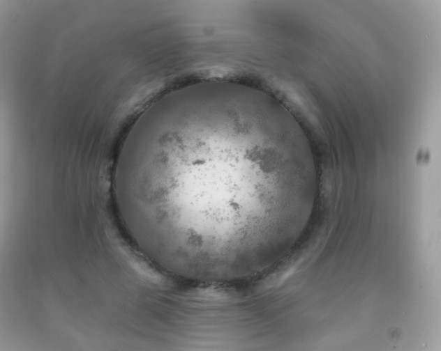 X0000091950545200709061242