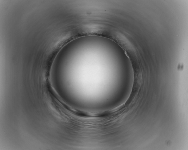 X0000091950546200709061242