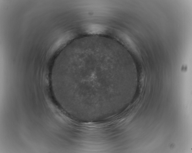 X0000091950547200709061242