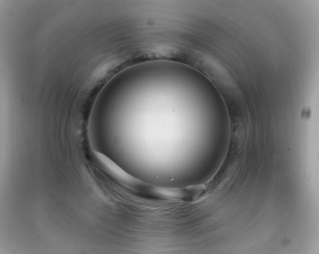 X0000091950548200709061242