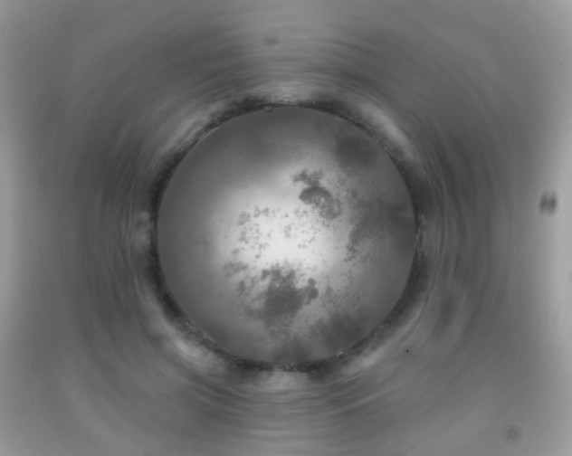 X0000091950549200709061242