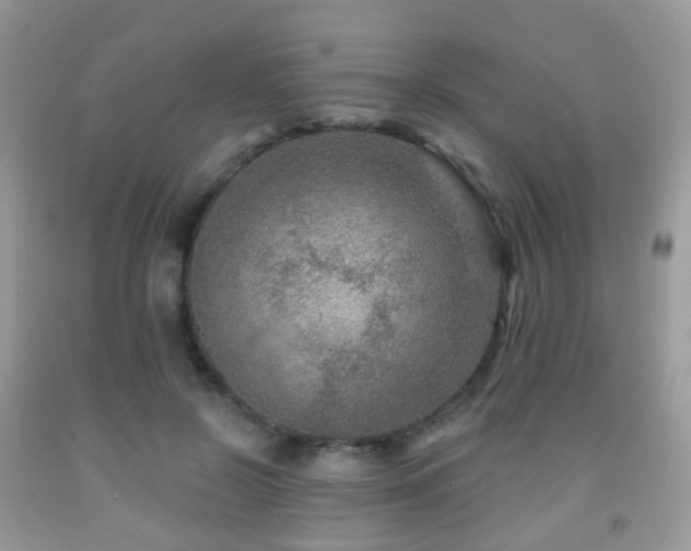 X0000091950550200709061243