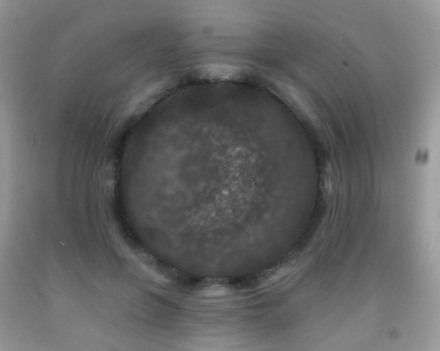X0000091950551200709061243
