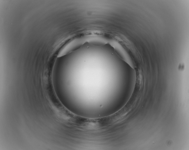 X0000091950552200709061243