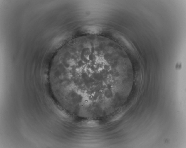 X0000091950553200709061243