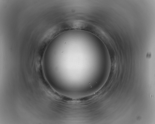 X0000091950554200709061243