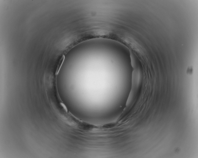 X0000091950556200709061243