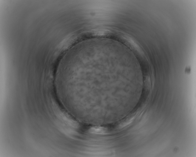 X0000091950557200709061243