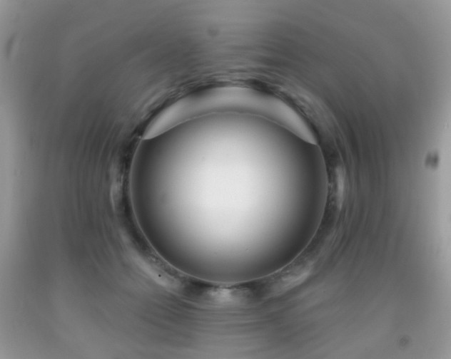 X0000091950558200709061243