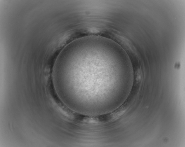 X0000091950559200709061243