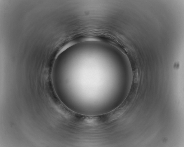 X0000091950560200709061243