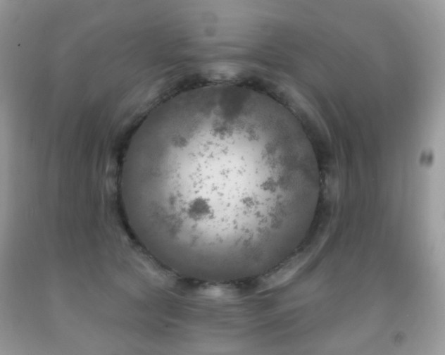 X0000091950561200709061243