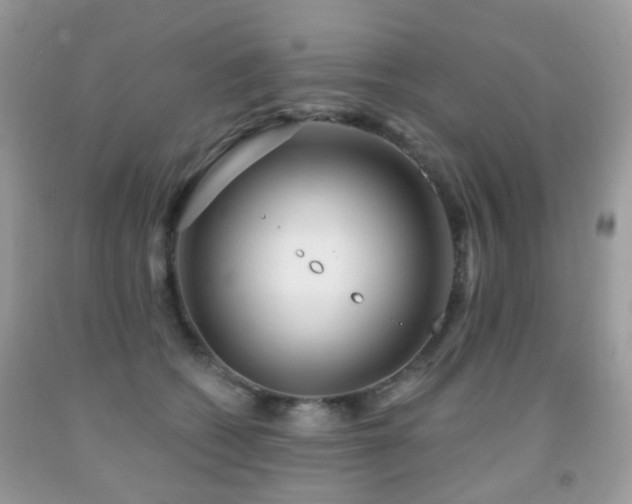 X0000091950562200709061243