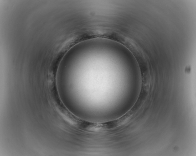 X0000091950563200709061243