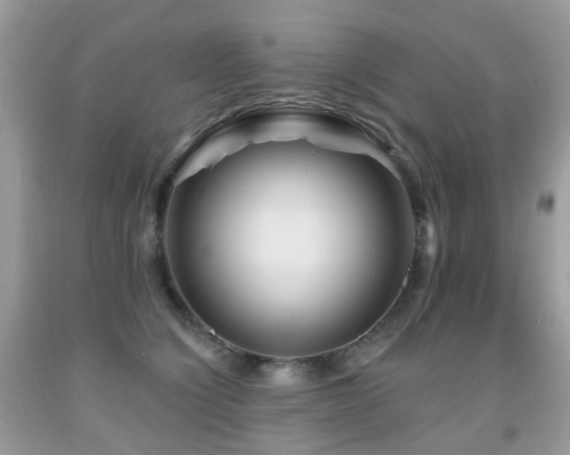 X0000091950564200709061243