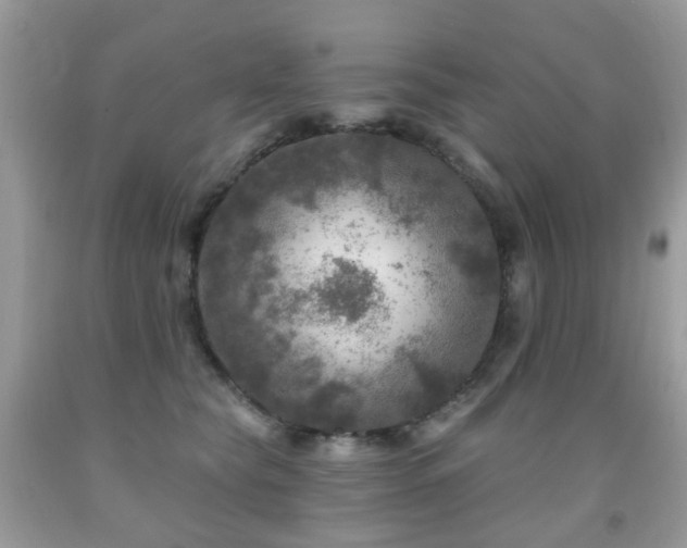 X0000091950565200709061243