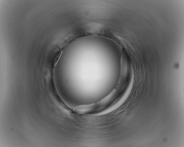 X0000091950566200709061243