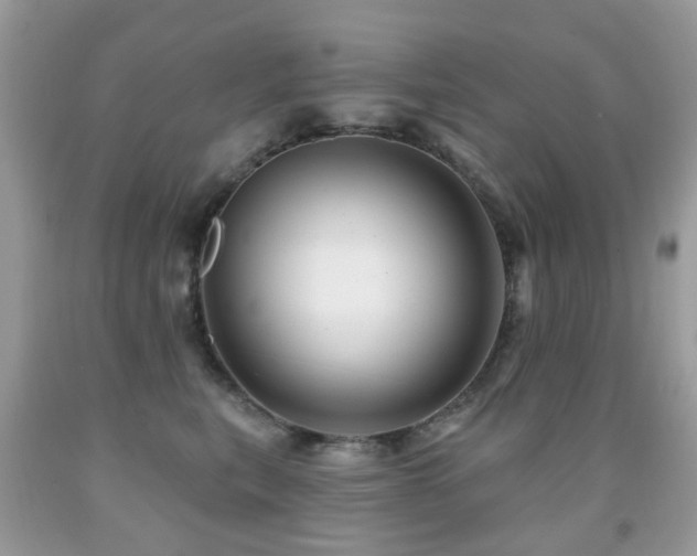 X0000091950567200709061243