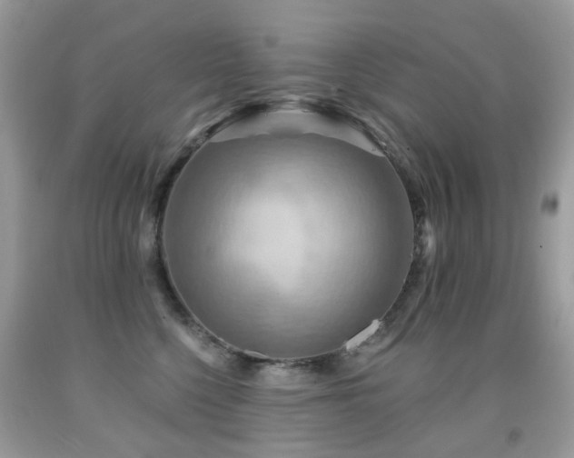 X0000091950568200709061243