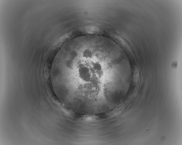 X0000091950569200709061243