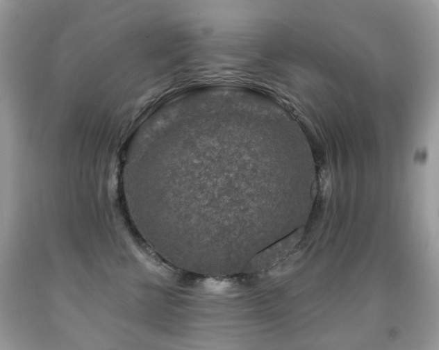 X0000091950570200709061243