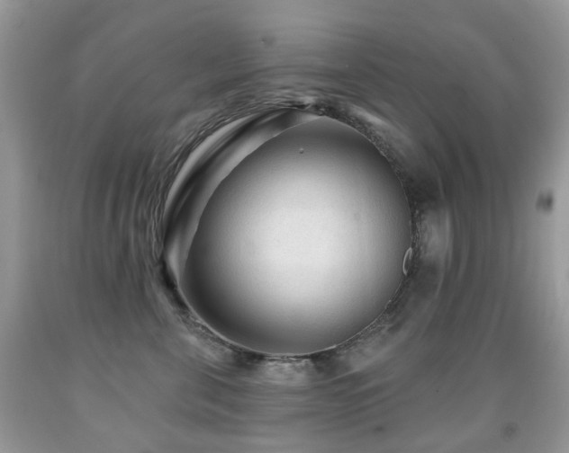 X0000091950571200709061243