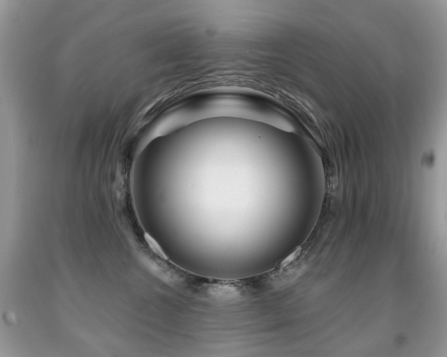 X0000091950572200709061243