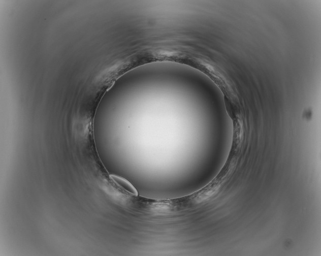 X0000091950574200709061243