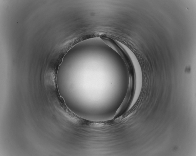 X0000091950575200709061243