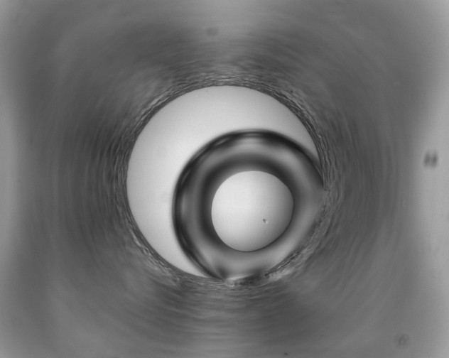 X0000091950576200709061243