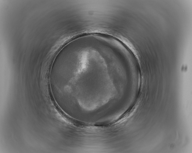 X0000091950577200709061242