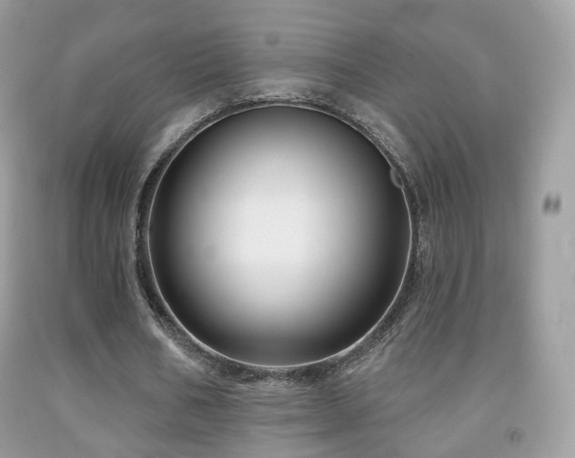X0000091950578200709061242