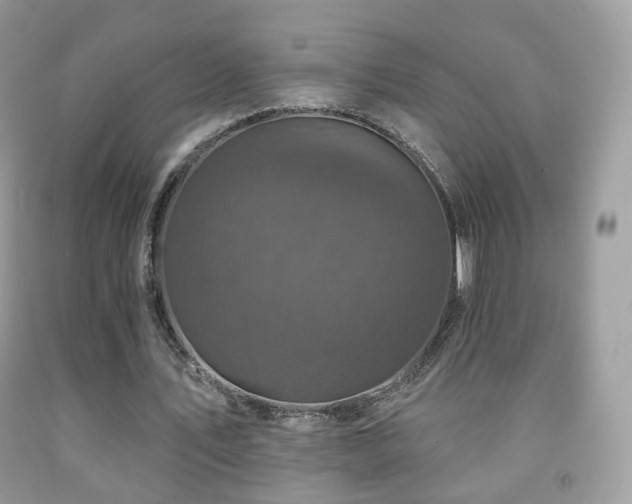 X0000091950579200709061242