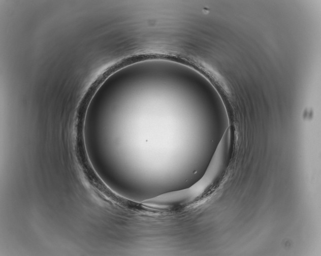X0000091950580200709061242
