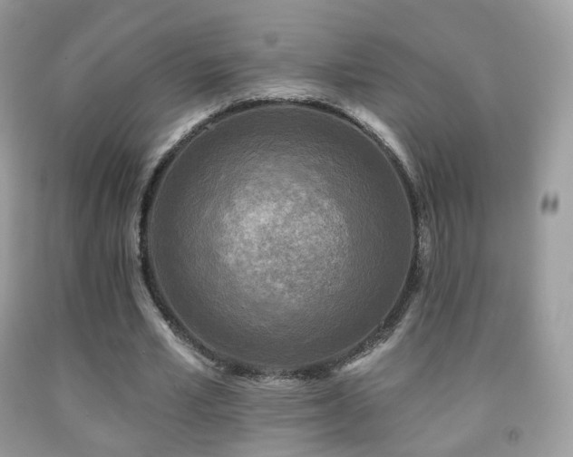 X0000091950581200709061242